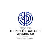 Prof. Dr. Demet Özbabalık Adapınar