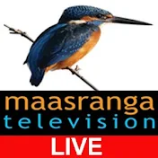 Maasranga TV Live