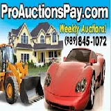 Professional Michigan Auctions