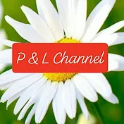 P & L Channel