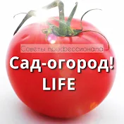 Сад-огород! LIFE