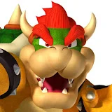 Super Bowser Fan 2005