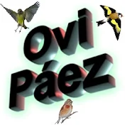 Ovi Paez