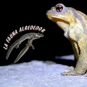 La Fauna Alrededor