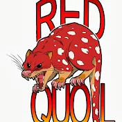 Red Quoll