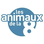 Les animaux de la 8