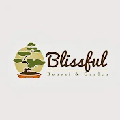 Blissfull Bonsai TV