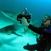 Underwater 3D Channel- Barry Chall Films