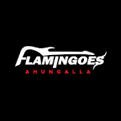 Ahungalla Flamingoes