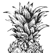 pineapple999 dot net