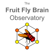 Fruit Fly Brain Observatory
