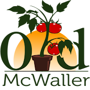 Old McWaller