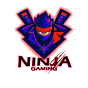 Ninja Gaming