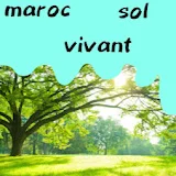 maroc sol vivant