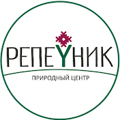 Репейник