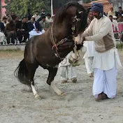 Horse dancing and neza bazi in pakistan