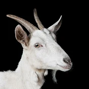 GoodestGOAT