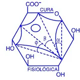 Cura FISIOLOGICA VALENCIA