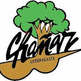 Chañar Antofagasta