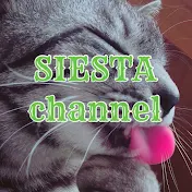 SIESTA.channel