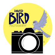 David Bird