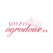 RozeOgrodowe.pl - najlepsze róże do Twojego ogrodu