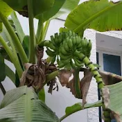 From planting to harvesting من الزراعه الى الحصاد