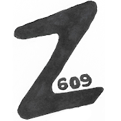 z609