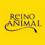 Reino Animal