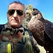 Pino Falconry