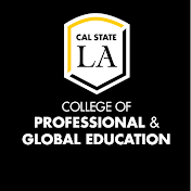 College of Professional & Global Education