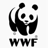 WWFMy