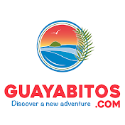 Rincon de Guayabitos Oficial