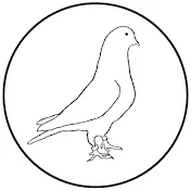 HiDef Pigeons