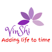 VinShi Vlogs