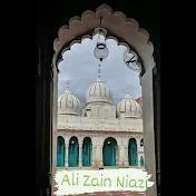 Ali Zain Niazi