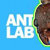 Ant Lab