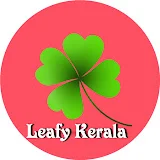 Leafy Kerala