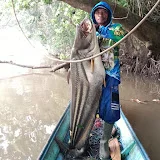 Ali Fishing Lamandau