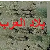 بلاد العرب