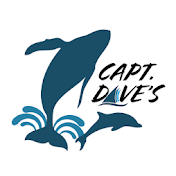 Capt Dave's Dana Point Dolphin & Whale Watching Safari