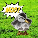 theduckgoesmoo