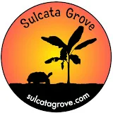 Sulcata Grove