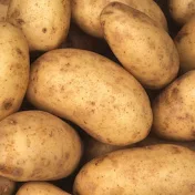 potato sensei - بطاطا سينسي