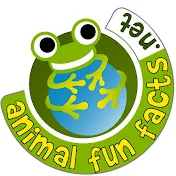 animal fun facts