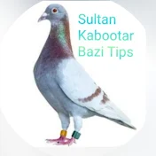 Sultan Kabootar Bazi Tips
