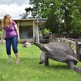 Florida Iguana & Tortoise Breeders