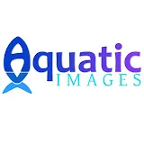 Aquatic Images