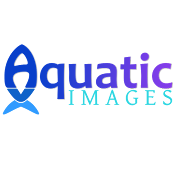 Aquatic Images