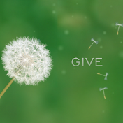 GIVE